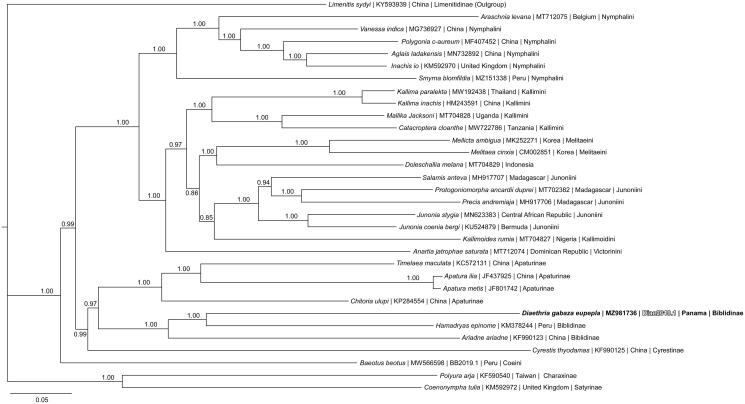 Figure 1.