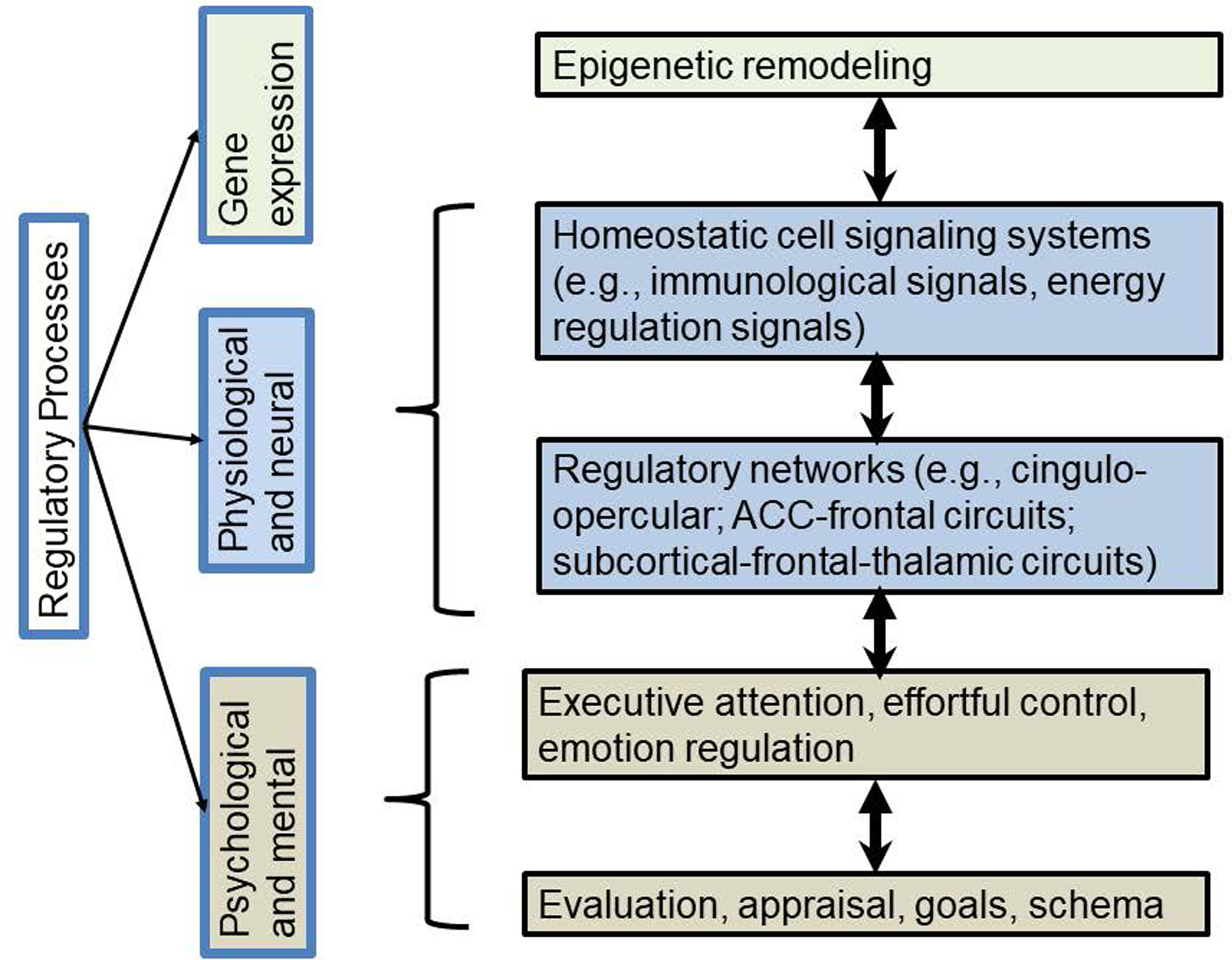 Figure 3: