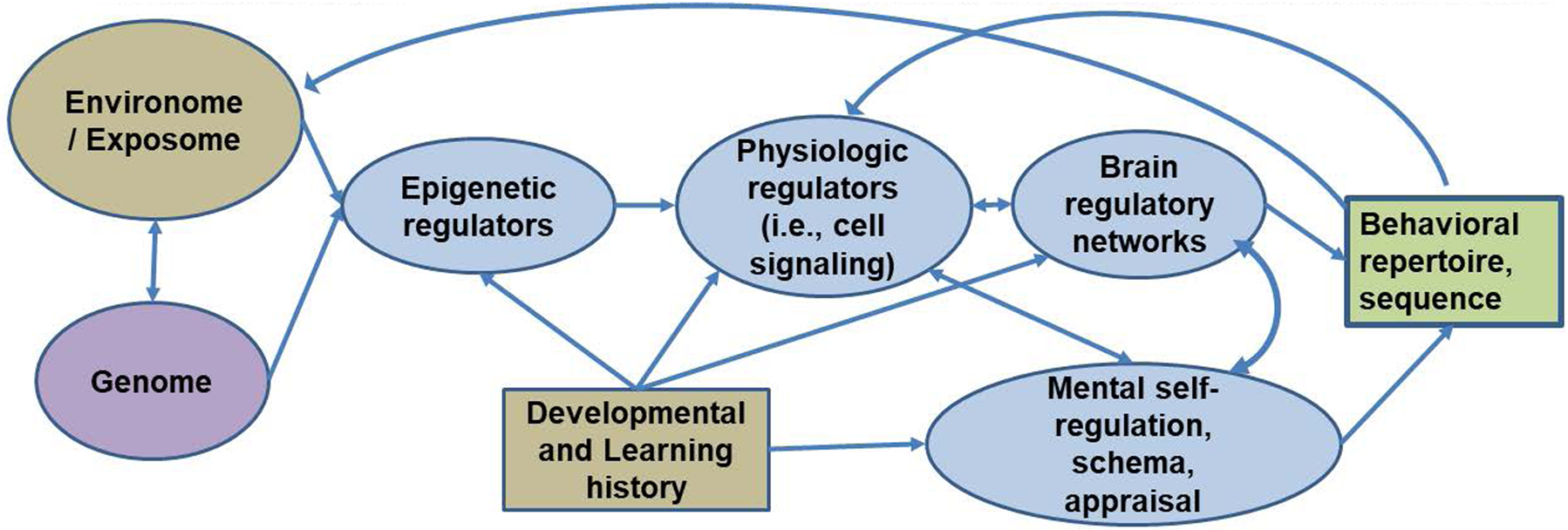 Figure 1: