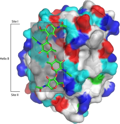 FIGURE 7.