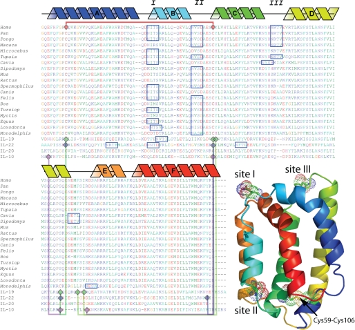 FIGURE 1.