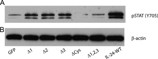 FIGURE 4.