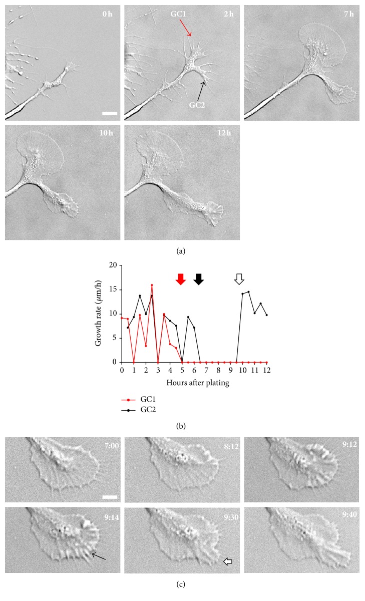 Figure 5