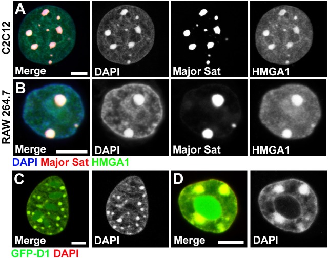 Figure 1—figure supplement 1.