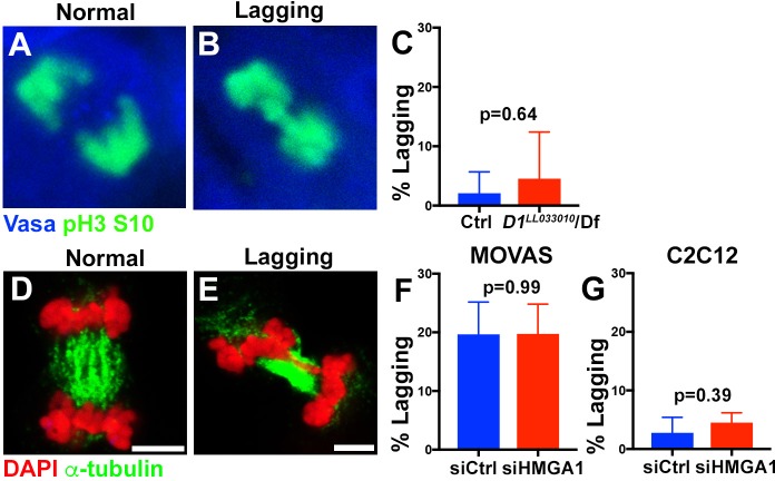 Figure 4—figure supplement 1.