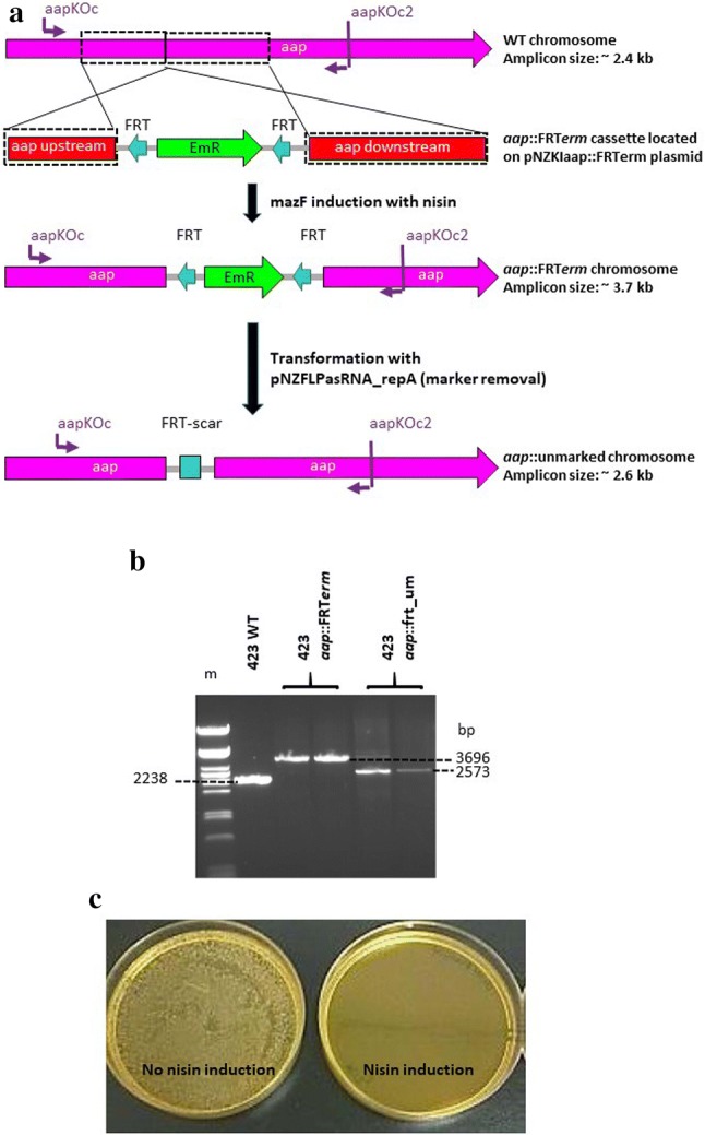 Fig. 4