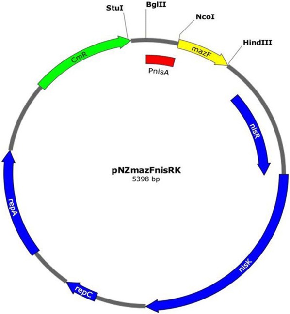 Fig. 1