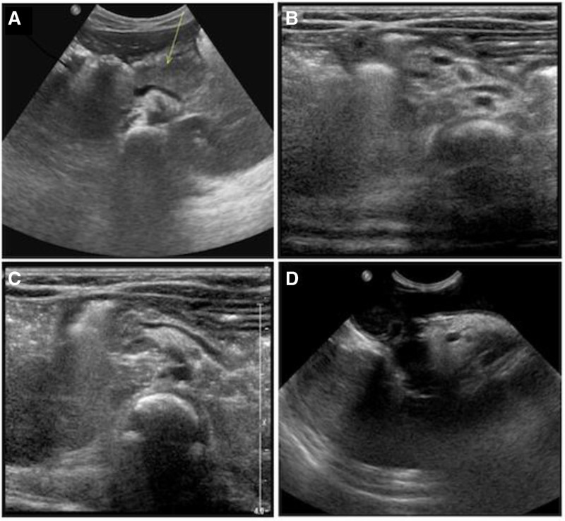 FIGURE 1.