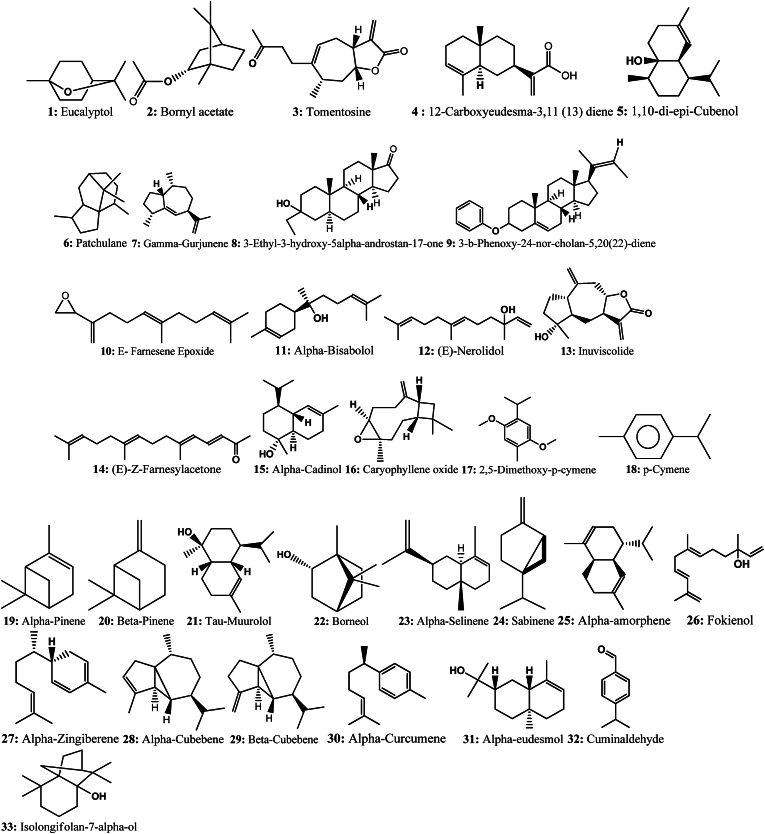 Fig. 5