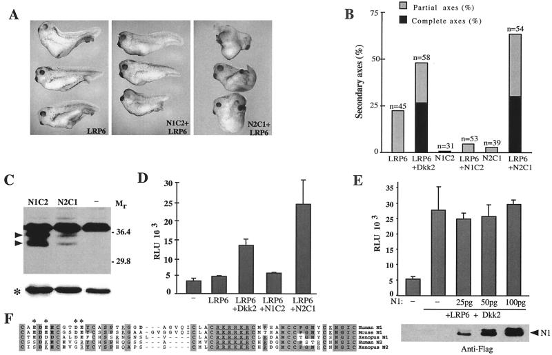 FIG. 6.