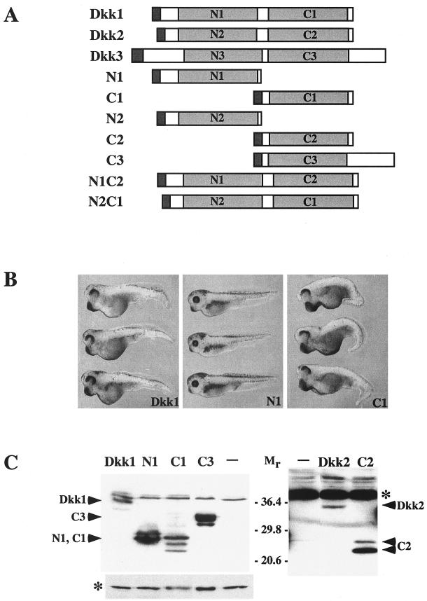 FIG. 3.