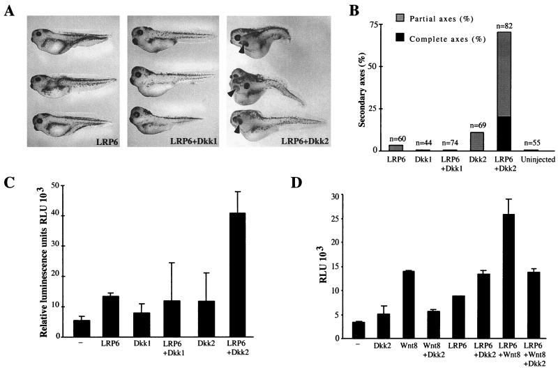 FIG. 2.