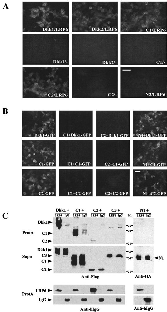 FIG. 7.