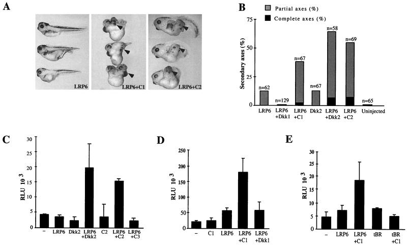 FIG. 5.