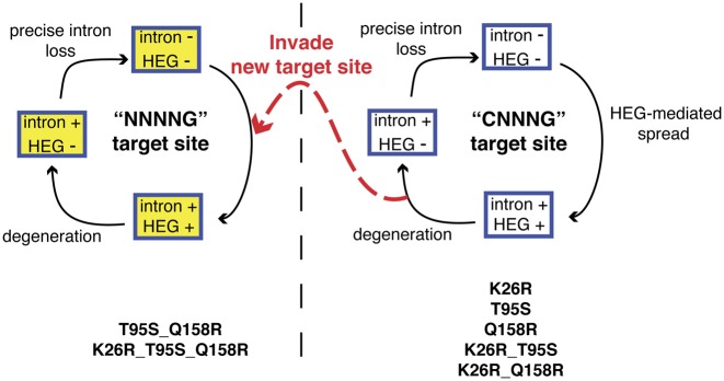 Figure 6.