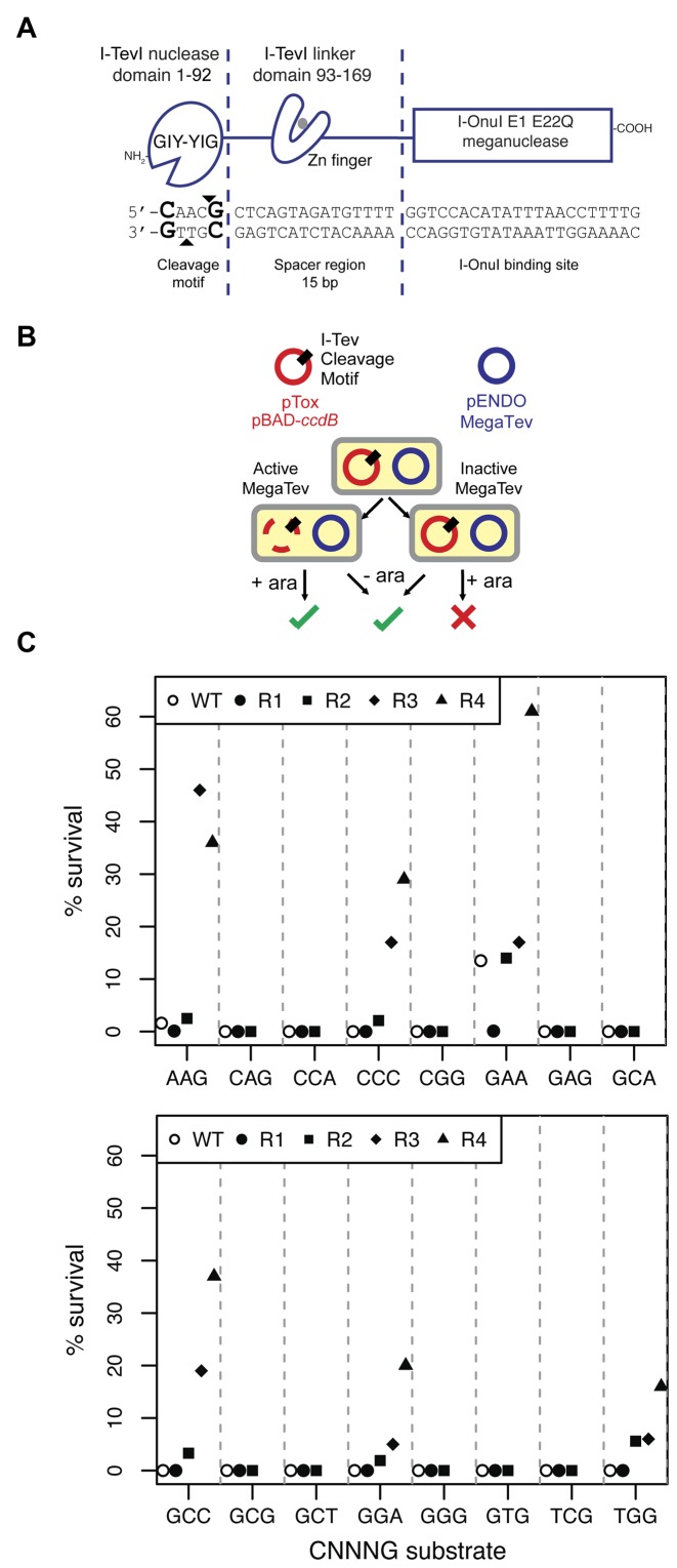 Figure 1.