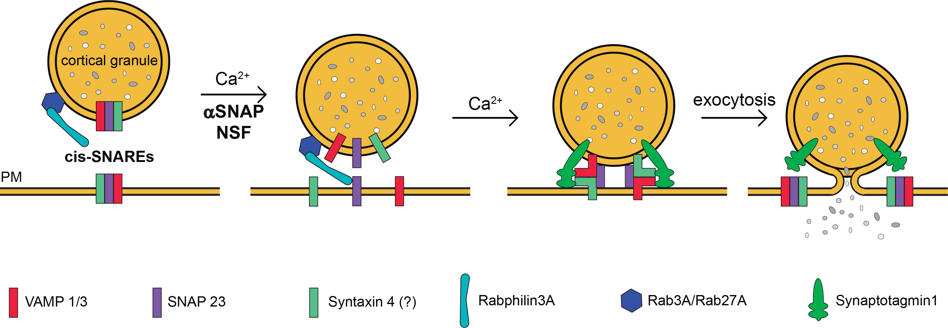 Figure 5.