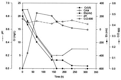 FIG. 1