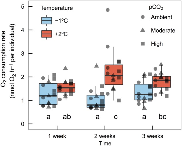 Figure 4: