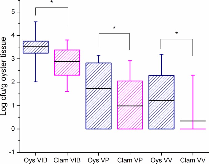 FIG 2