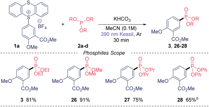 graphic file with name d3ra04512a-u3.jpg