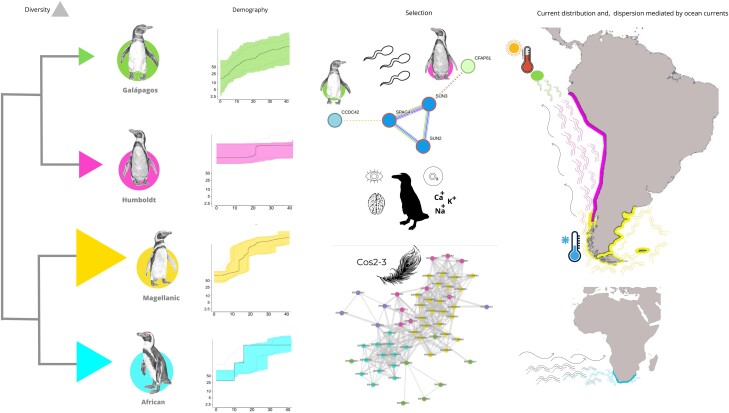 Graphical Abstract