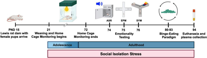 FIGURE 1