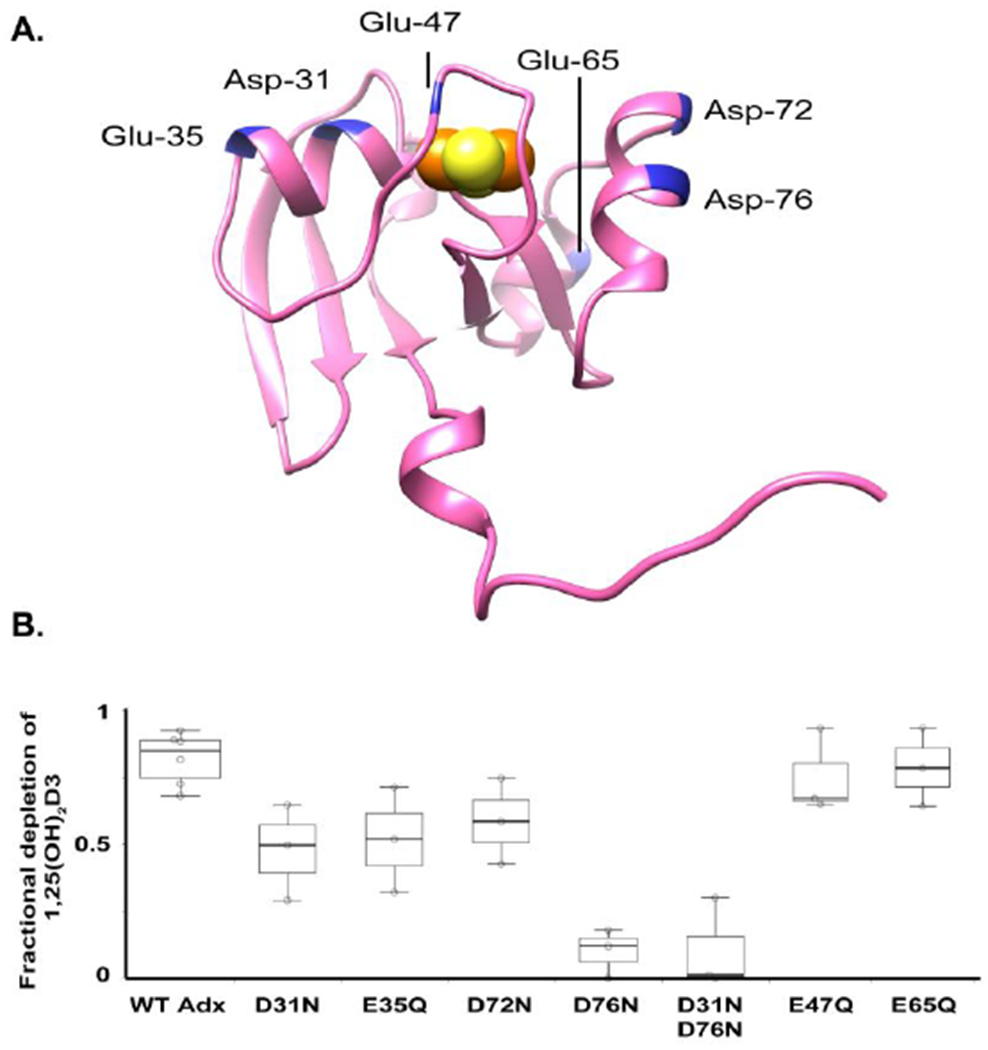 Figure 5.