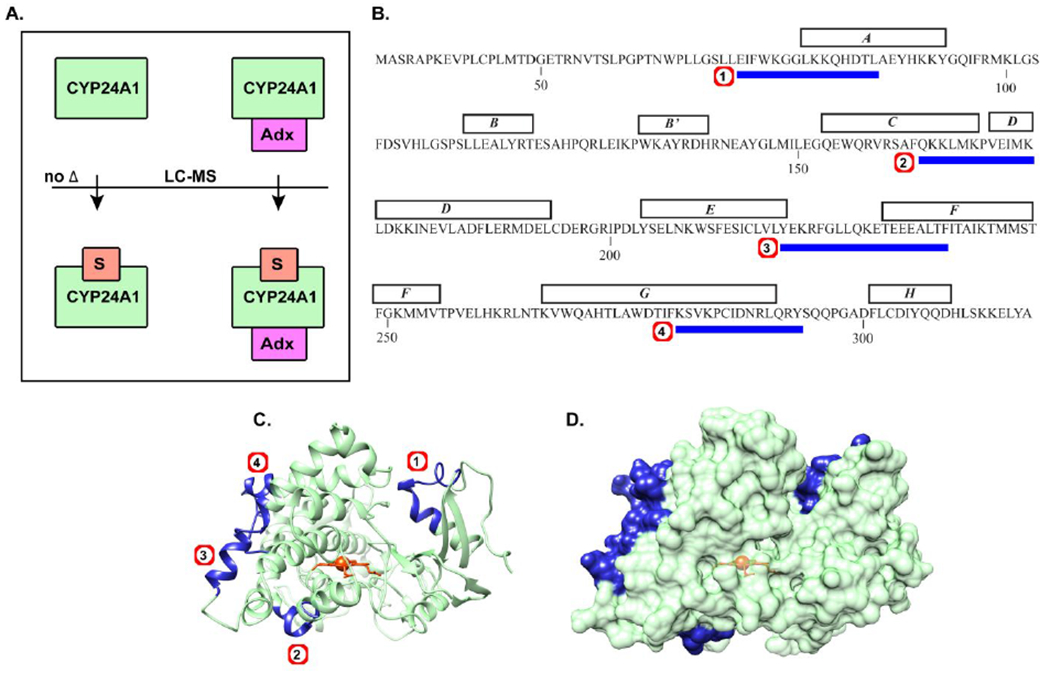 Figure 4.