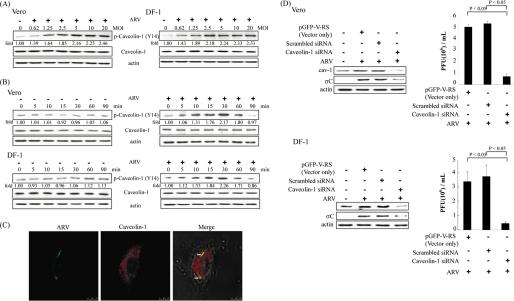 FIGURE 3.