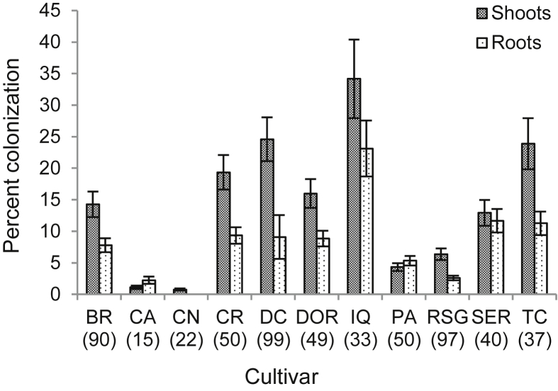 Fig 3