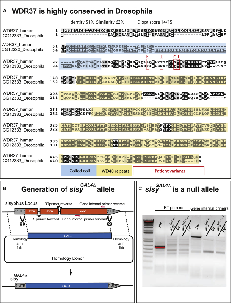 Figure 3