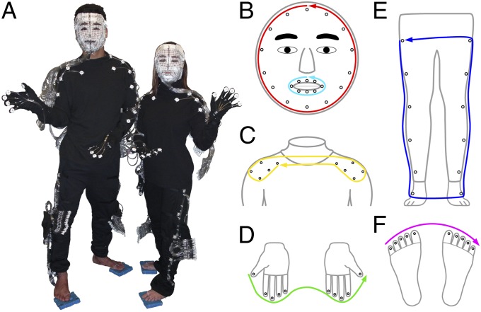 Fig. 1.