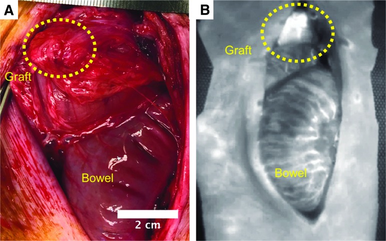 FIG. 7.