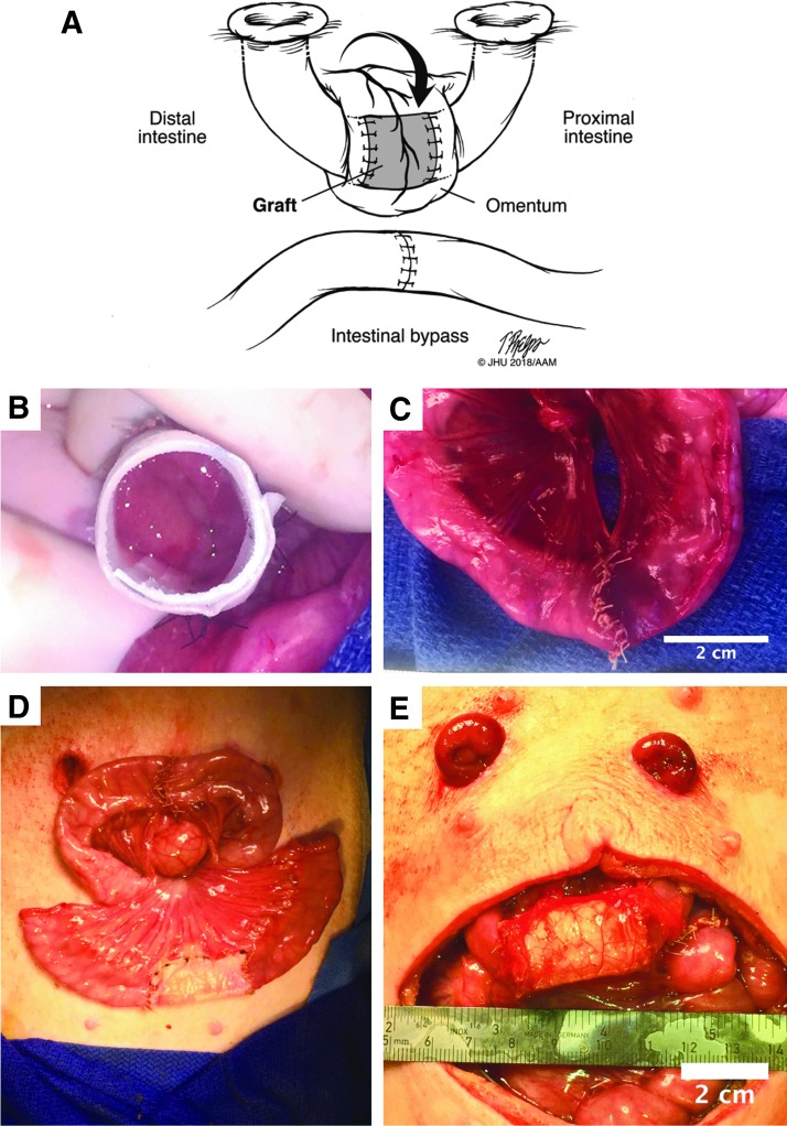 FIG. 4.