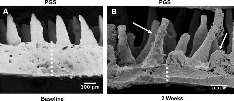 FIG. 9.