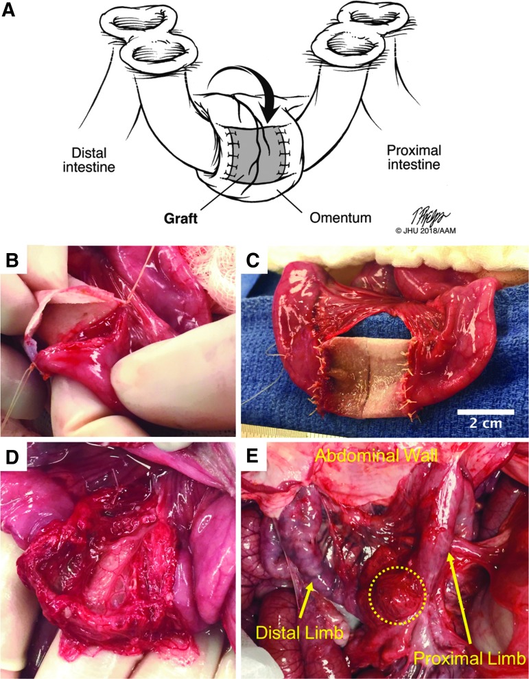 FIG. 2.