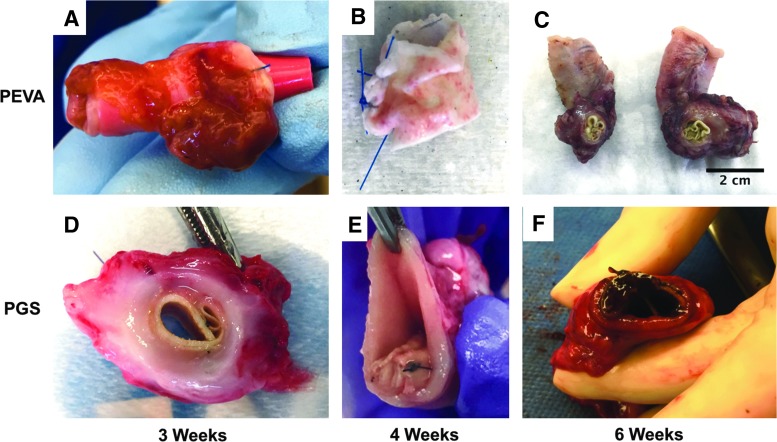 FIG. 6.