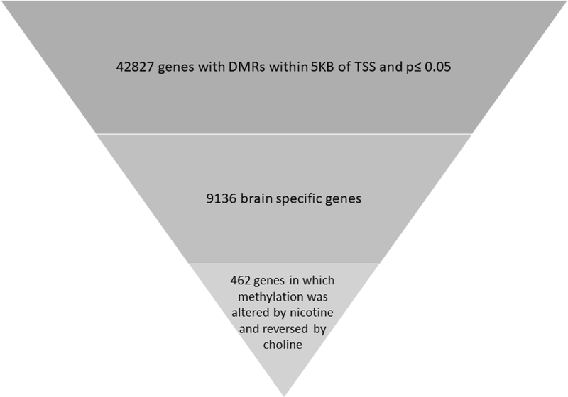 Figure 2: