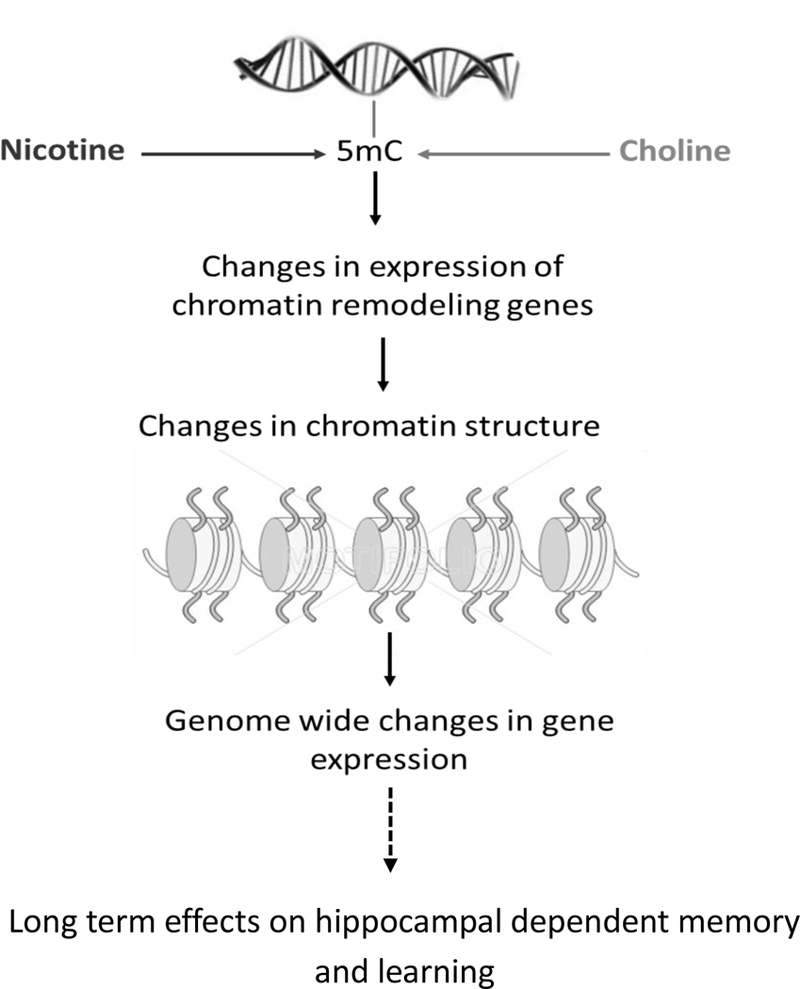 Figure 4: