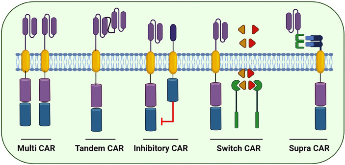 Figure 5