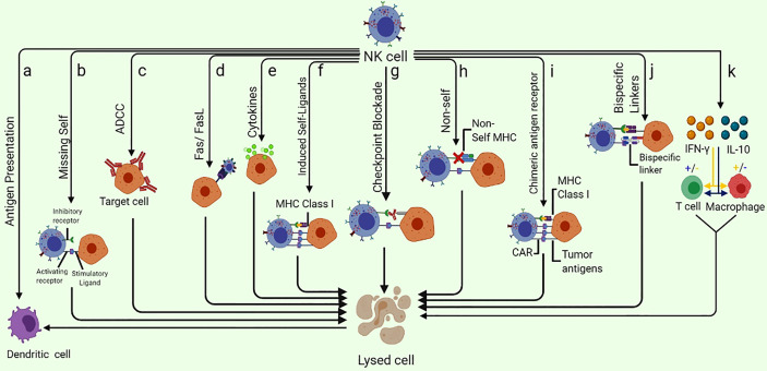 Figure 1