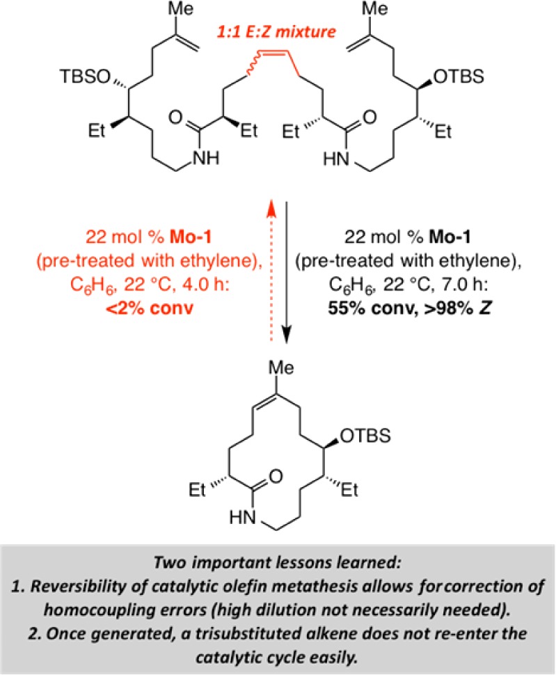 Scheme 6