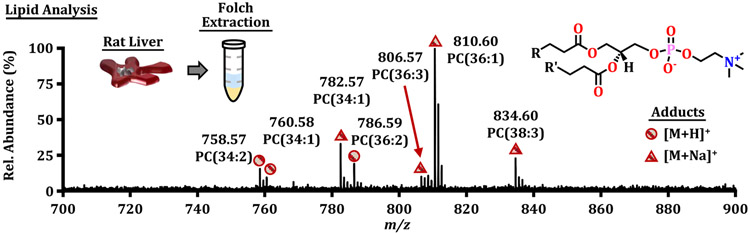 Figure 4.