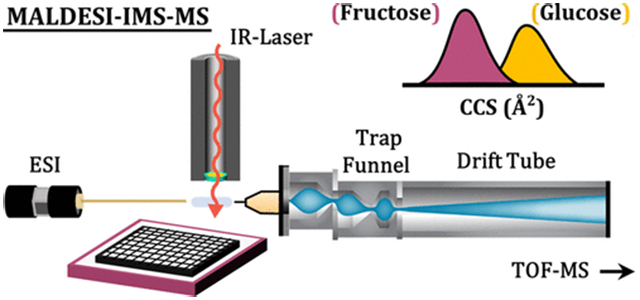 graphic file with name nihms-1591110-f0001.jpg