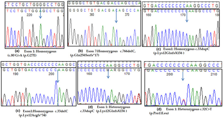 FIGURE 1