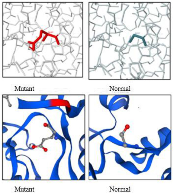 FIGURE 2