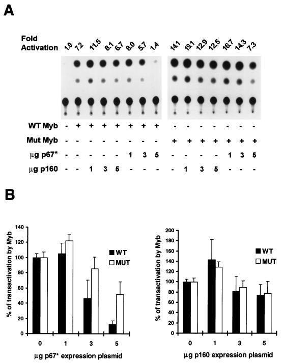 FIG. 8