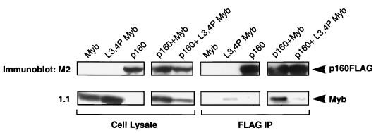 FIG. 7