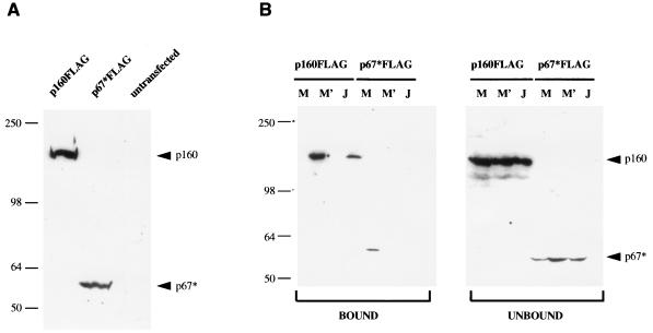 FIG. 6